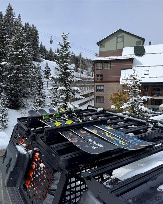 Ski and Snowboard Carrier